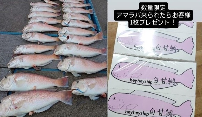 関西エリアの【船釣り特選釣果】タイラバで50cm級筆頭にシロアマダイが続々ヒット中！