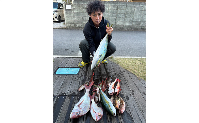 カヤックSLJ釣行で爆釣【神奈川・逗子〜江ノ島沖】ブリ族＆オオモンハタ＆ホウボウが連発