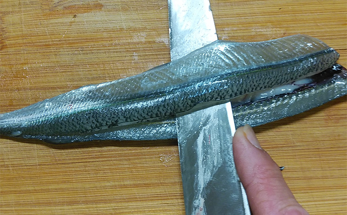 釣ったゲスト魚で作る「簡単」レシピ：ダツの一夜干し　大名おろしで楽々下処理