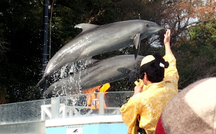 ユニークな魅力がたくさんの『新屋島水族館』にいる「銭形」と「世直し侍」とは？