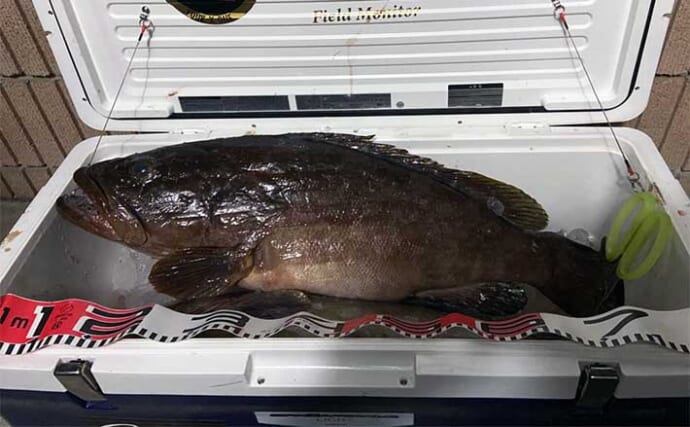 「日本一クエの魚影が濃い？」男女群島での磯釣りで6.5kg頭に本命クエ2尾キャッチ【長崎】