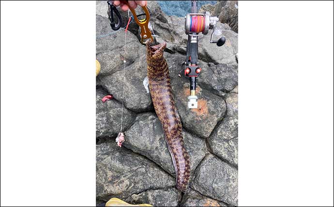 「日本一クエの魚影が濃い？」男女群島での磯釣りで6.5kg頭に本命クエ2尾キャッチ【長崎】