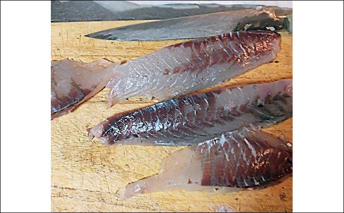 釣ったゲスト魚で作るレシピ：イスズミのネギみそ　釣り場での下処理がポイント