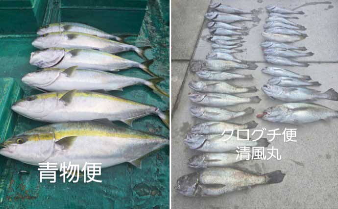 関西エリアの【船釣り特選釣果】 アマラバでシロアマダイが船中30匹と爆釣！