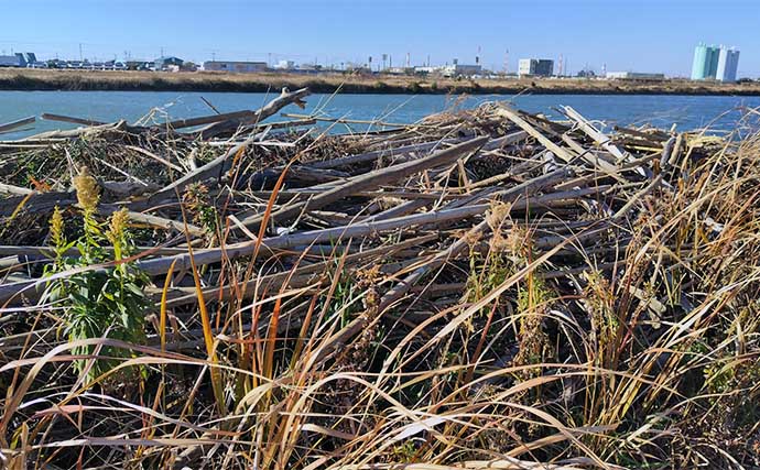 釣り場を【釣りせず散策】してみた　釣りをしないからこそ見えてくる「景色」とは？