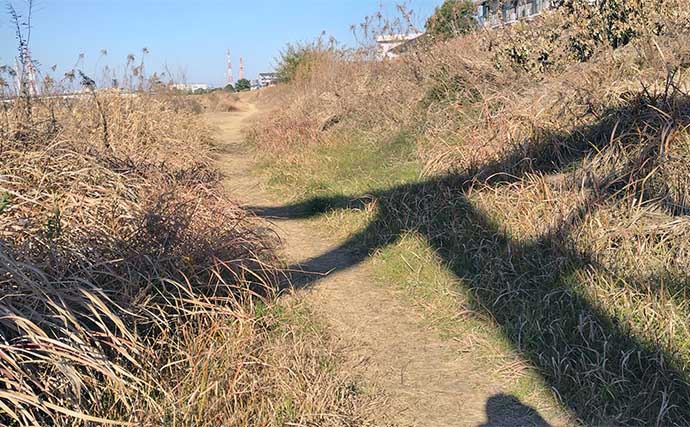 釣り場を【釣りせず散策】してみた　釣りをしないからこそ見えてくる「景色」とは？