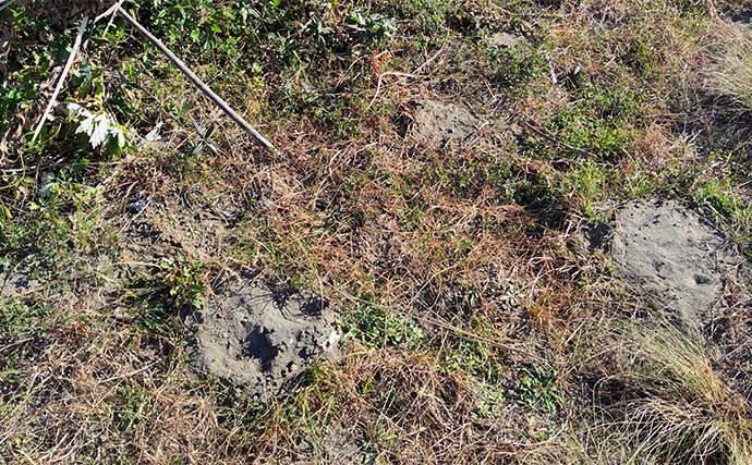 釣り場を【釣りせず散策】してみた　釣りをしないからこそ見えてくる「景色」とは？