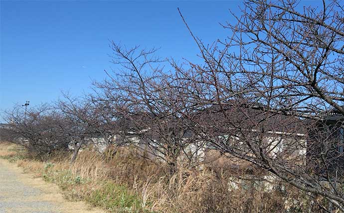 釣り場を【釣りせず散策】してみた　釣りをしないからこそ見えてくる「景色」とは？