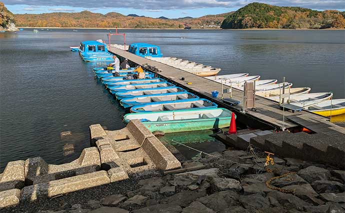 入鹿池のボートワカサギ釣りで100匹達成！【愛知】5cmほどの極小サイズも混じる