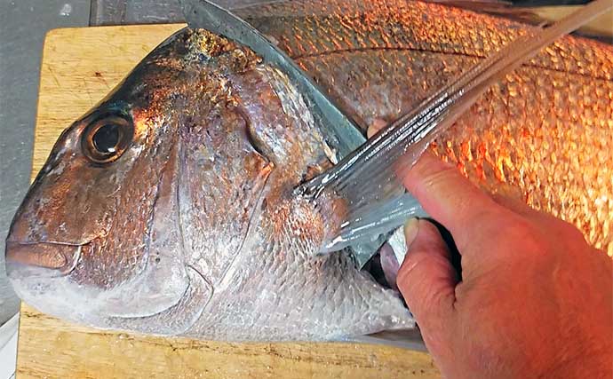 釣魚で作る「手抜き」レシピ：大ダイの昆布絞め　冷蔵庫放置でOK