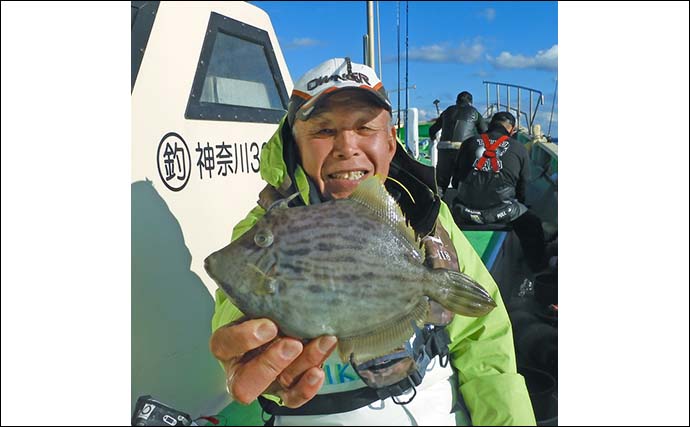 船カワハギ釣りで24cm良型ゲット【茅ヶ崎・まごうの丸】深場の小さなアタリを攻略して連発