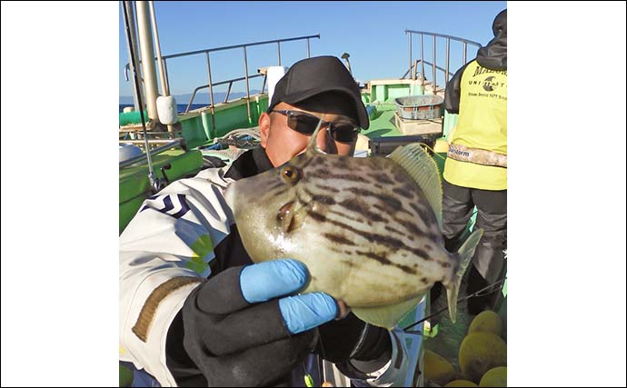 船カワハギ釣りで24cm良型ゲット【茅ヶ崎・まごうの丸】深場の小さなアタリを攻略して連発