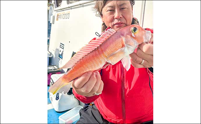 高級魚アマダイ釣りでシロアマダイ混じりに40cm超え本命が顔出し【神奈川・ちがさき丸】