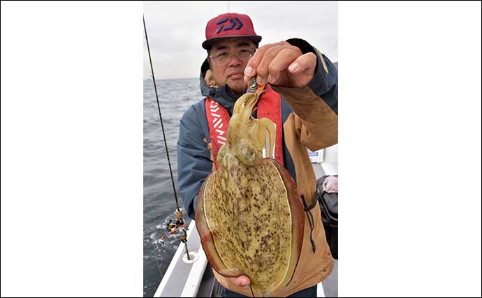 伊勢湾の船コウイカ釣りが開幕 【タックル・仕掛け・釣り方・オススメのエギを解説】