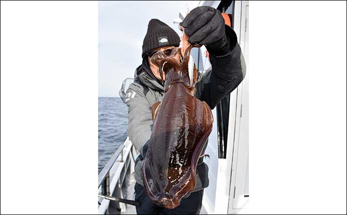 伊勢湾の船コウイカ釣りが開幕 【タックル・仕掛け・釣り方・オススメのエギを解説】