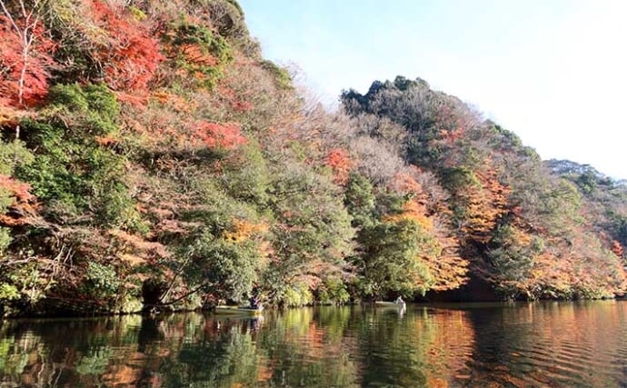 今週のヘラブナ推薦釣り場2025【千葉県・亀山湖】