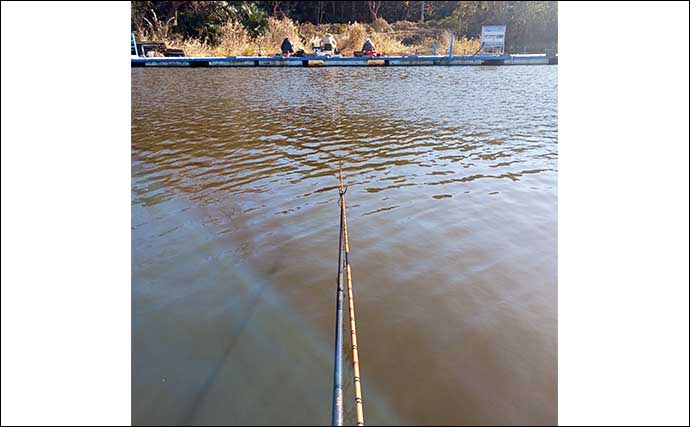 管理池でのヘラブナ釣りで親子釣行を満喫【千葉・野田幸手園】40cm超えを含み15枚手中