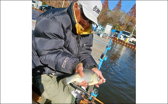 管理池でのヘラブナ釣りで親子釣行を満喫【千葉・野田幸手園】40cm超えを含み15枚手中