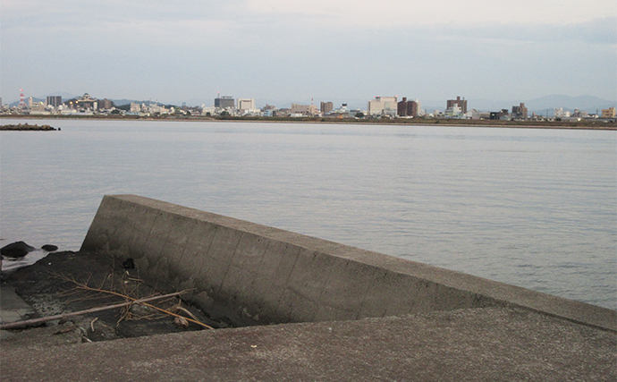 「夏の釣りのイメージあるけれど・・」冬もシロギス投げ釣りを楽しもう【時期ごとの釣り方を解説】