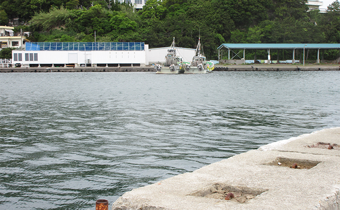 「夏の釣りのイメージあるけれど・・」冬もシロギス投げ釣りを楽しもう【時期ごとの釣り方を解説】