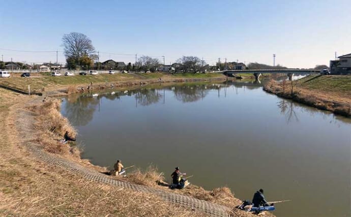 今週のヘラブナ推薦釣り場2025【埼玉県・ビン沼】