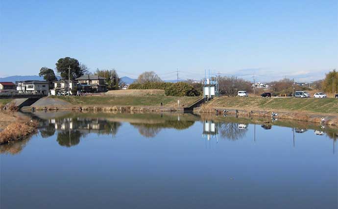 今週のヘラブナ推薦釣り場2025【埼玉県・ビン沼】