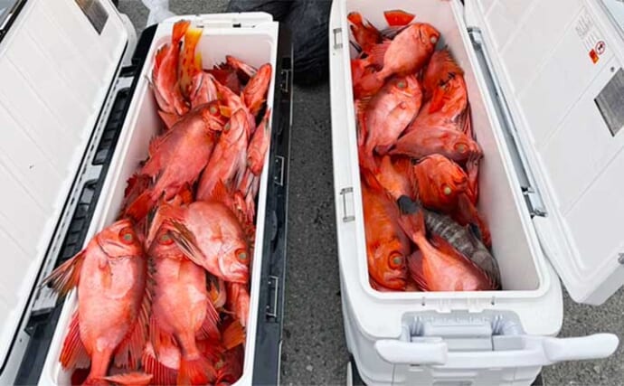 【船のエサ釣り釣果速報】泳がせ釣りでチカメキントキが入れ食い！（福岡）