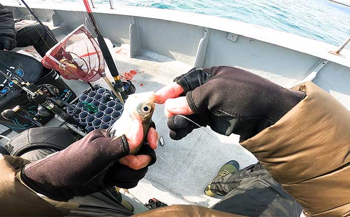 高級美味魚狙いのリレー船が絶好調！【和歌山・MCL】シロアマダイ・寒ブリ・クログチをキャッチ