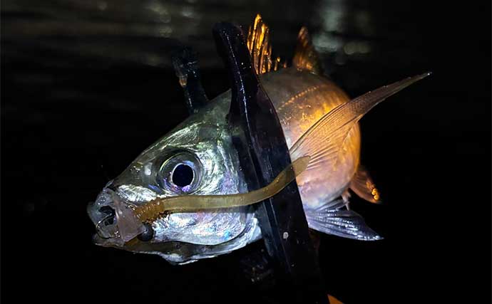 厳寒期の大阪湾陸っぱり釣りはかなり厳しめ！　こんを詰めずに暇つぶし感覚が吉か