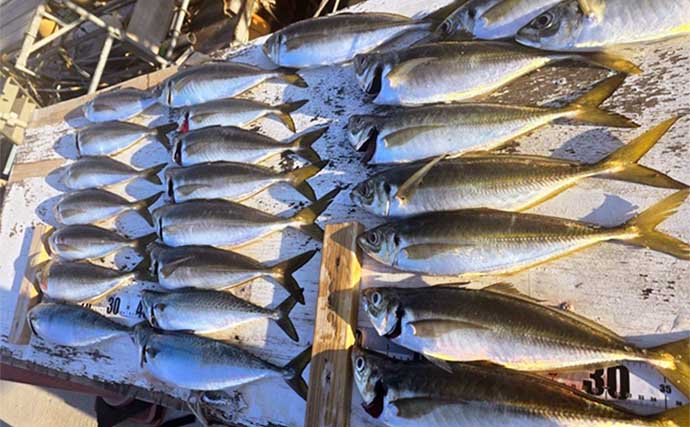 関西エリアの【船釣り特選釣果】鬼アジ狙いで47cm筆頭に大型マアジが続々顔出し！