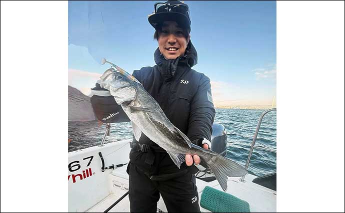 【沖のルアー釣果まとめ】トンボジギング船でビンチョウマグロが船中29匹！（愛知）