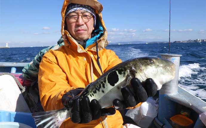 【船のエサ釣り最新釣果】伊良湖沖で肉厚コウイカが好ヒット中！（愛知・静岡）