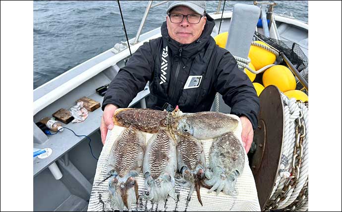 【船のエサ釣り最新釣果】伊良湖沖で肉厚コウイカが好ヒット中！（愛知・静岡）