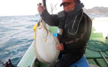 落とし込み釣りで良型ヒラメにブリが好反応で船中2桁安打！【福岡・明生丸…