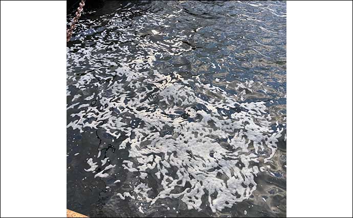 「なんで冬は魚が釣りづらいの？」低水温期にサカナの活性が下がる理由を知ろう