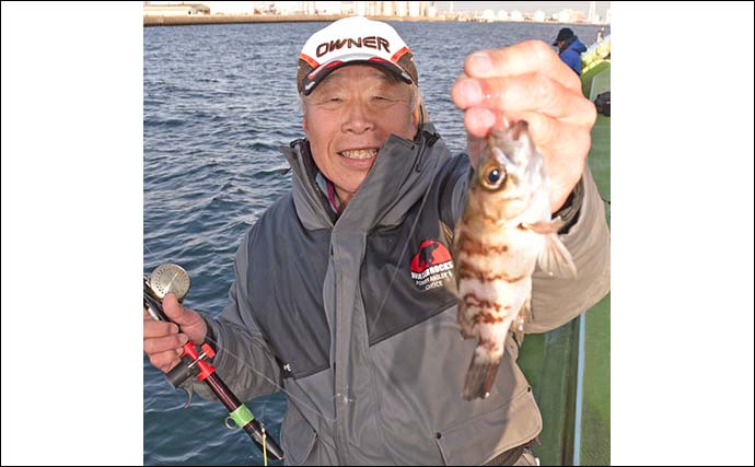 「東京湾のエビメバル釣りが解禁！」タックル・仕掛け・釣り方・釣果アップのコツを解説