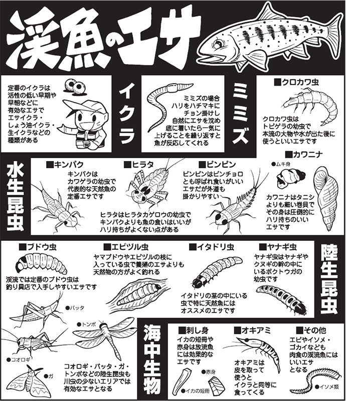 【渓流釣りのおすすめエサ17選】 定番のイクラから変わり種の代用エサまでまとめて紹介