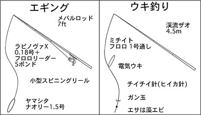 霞ケ浦ふ頭でヒイカ釣り【三重】エギングとエサ釣り合わせて本命5匹をキャッチ