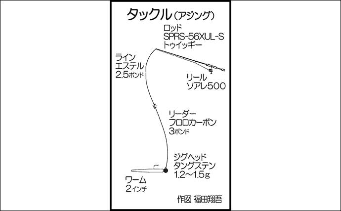 夜の漁港でアジングを満喫【福岡・志賀島】18cmオーバーを中心に40尾以上キャッチ！