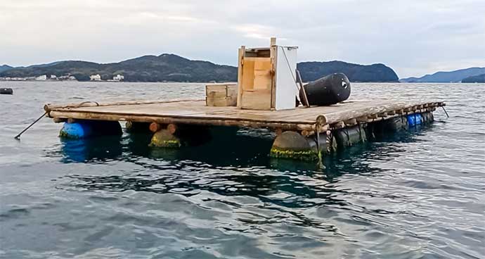 厳冬期のイカダでダンゴ釣り【三重・大村島】クロダイ8匹に良型マダイをキャッチ