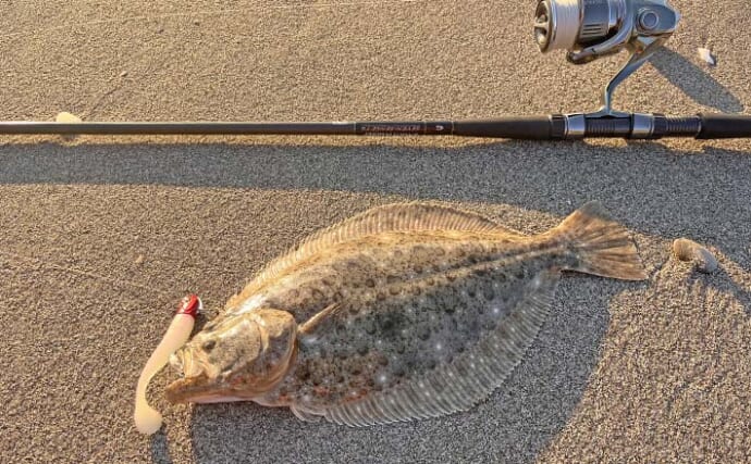 真冬のサーフでルアーを投げたらヒラメとマゴチが釣れた！【愛知・豊橋】