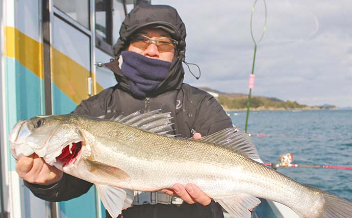 鳥羽沖イワシ泳がせ釣りで大物連発！【勝丸】ヒラメ・マダイ・寒ブリ・スズキと絶好調