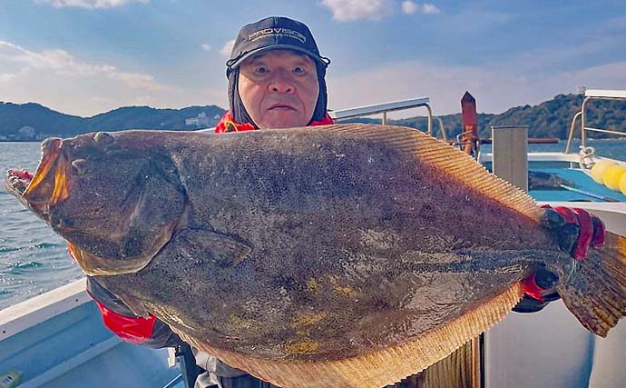 鳥羽沖イワシ泳がせ釣りで大物連発！【勝丸】ヒラメ・マダイ・寒ブリ・スズキと絶好調