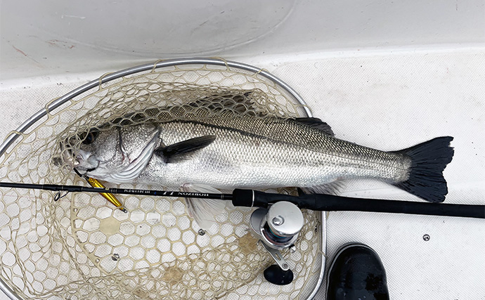 冬の『泳がせ釣り』でブリが爆釣！【三重・伊勢湾】活きアジに連続ヒット