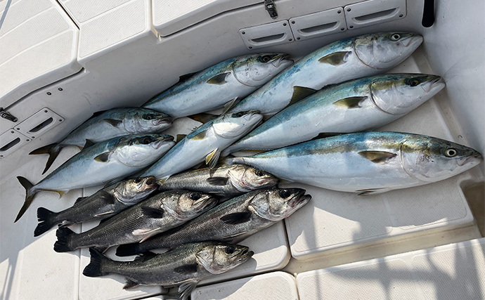 冬の『泳がせ釣り』でブリが爆釣！【三重・伊勢湾】活きアジに連続ヒット