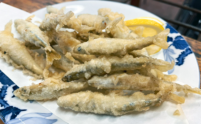 「-11℃はさすがに無理？」アンダーウェア1枚で氷上ワカサギ釣りに挑戦　快適釣行の秘訣とは？