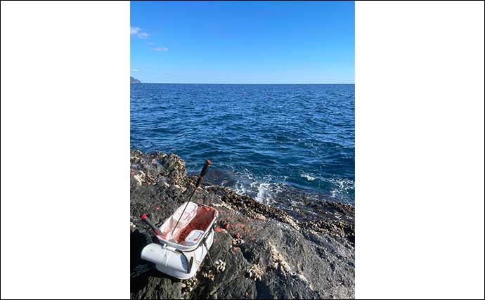 沖磯フカセ釣りで44cm口太グレを手中【三重・大紀町】釣行終了間際にヒット引き出す！