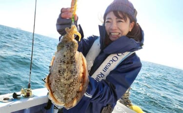 【船のエサ釣り釣果速報】伊良湖沖で肉厚のコウイカが好反応！（愛知）