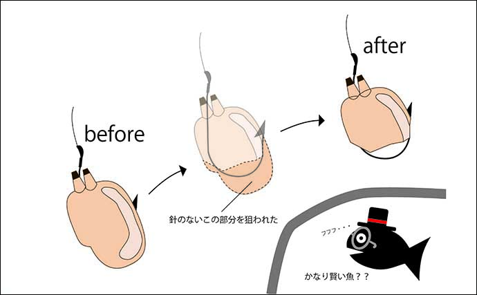 「正体不明の大物が突然ヒット！」堤防小物釣り最中にヒットした大物の正体を執念で追ってみた