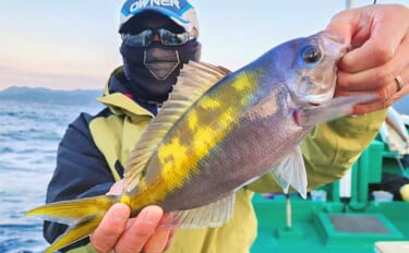 見老津沖オキアミ五目釣りで美味魚『ウメイロ』を連続キャッチ！【和歌山・…